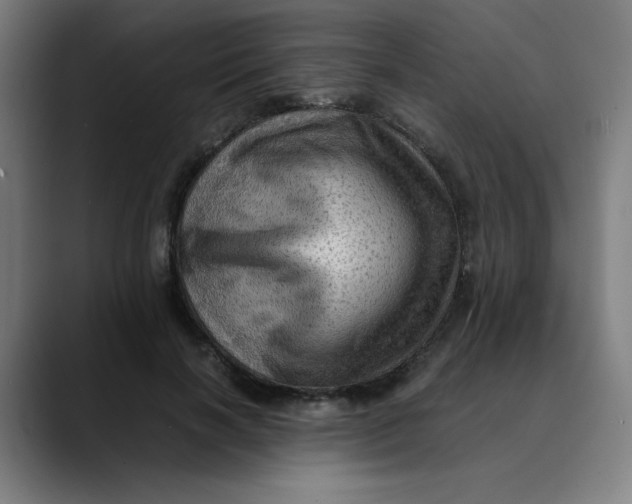 X0000089710646200707121413