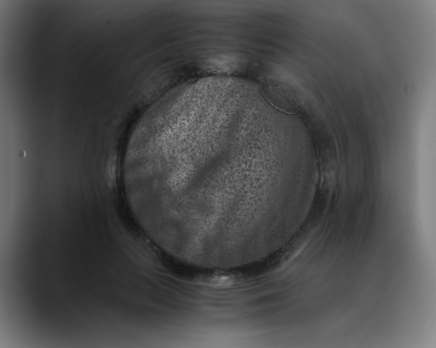 X0000089710647200707121413