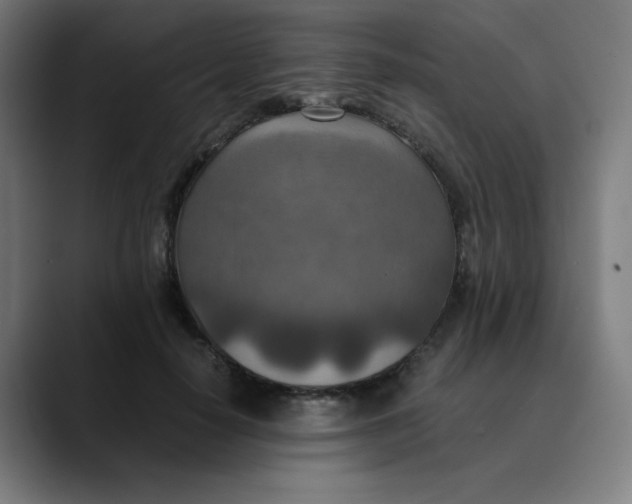 X0000089710650200707121413