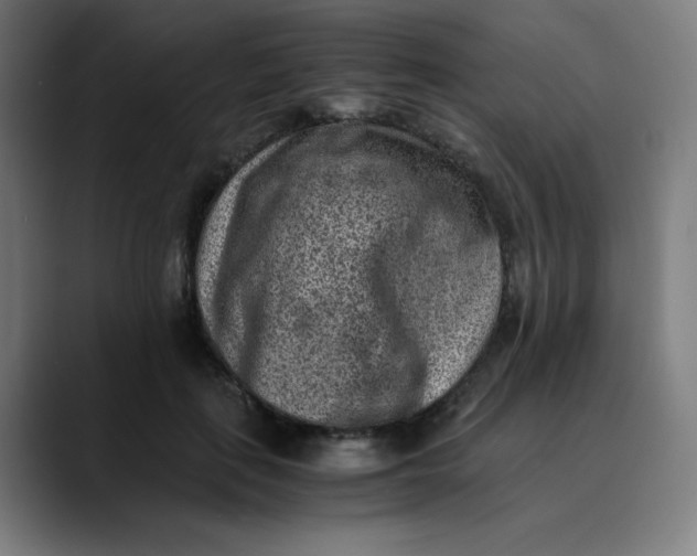 X0000089710651200707121413