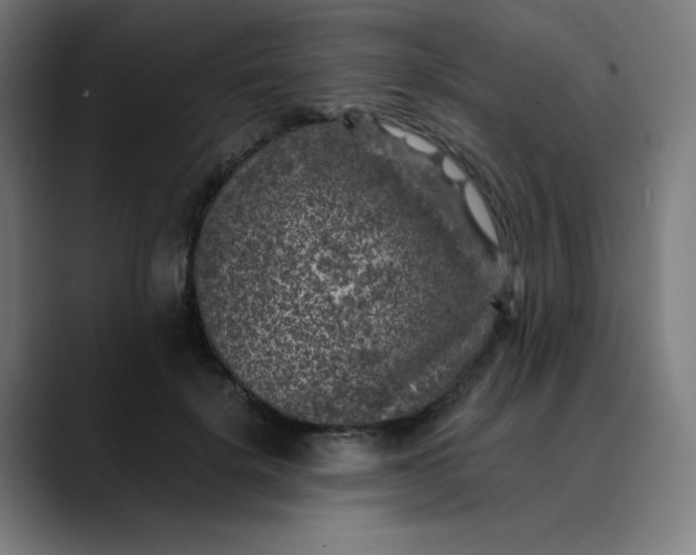 X0000089710652200707121413