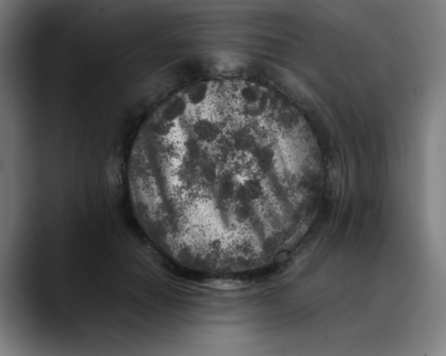 X0000089710654200707121413