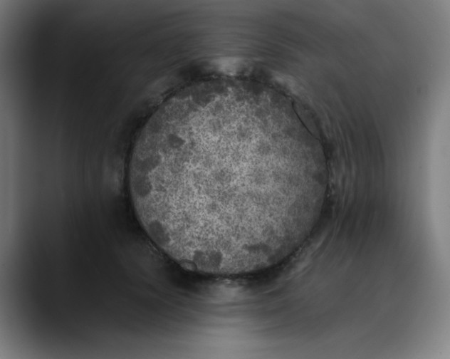 X0000089710656200707121414