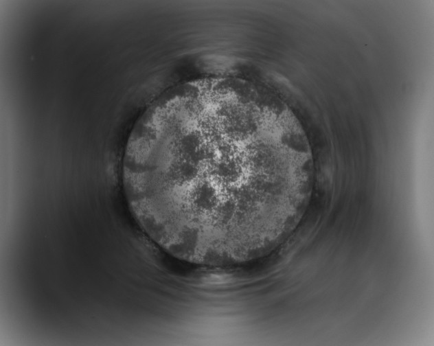 X0000089710658200707121414