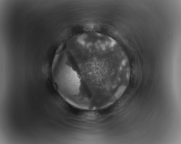 X0000089710659200707121414