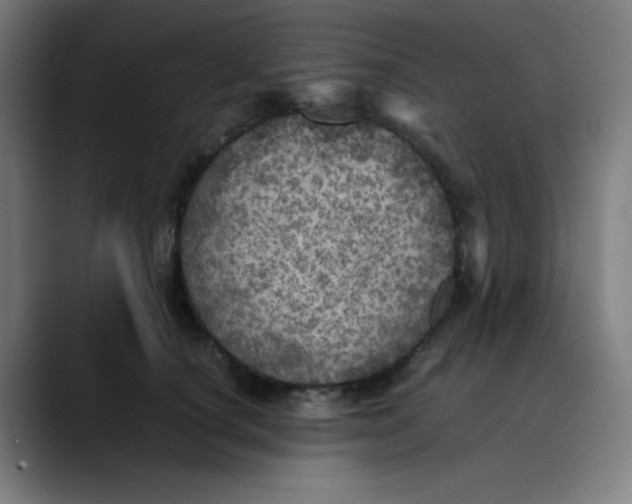 X0000089710660200707121414