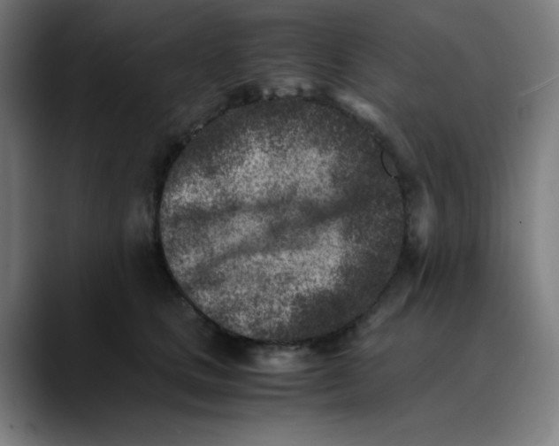 X0000089710661200707121414