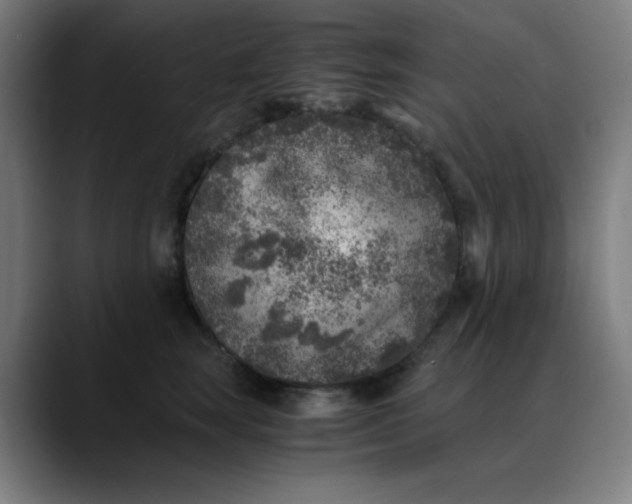 X0000089710663200707121414