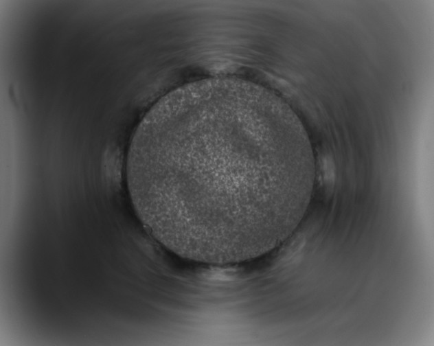 X0000089710664200707121414