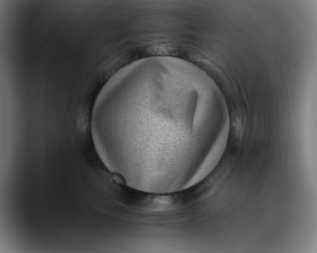 X0000089710665200707121414