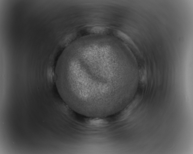 X0000089710669200707121414