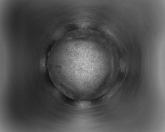 X0000089710670200707121414