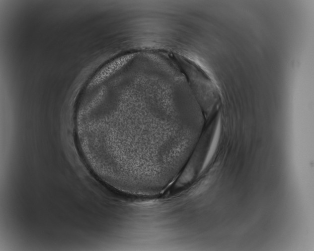 X0000089710673200707121413