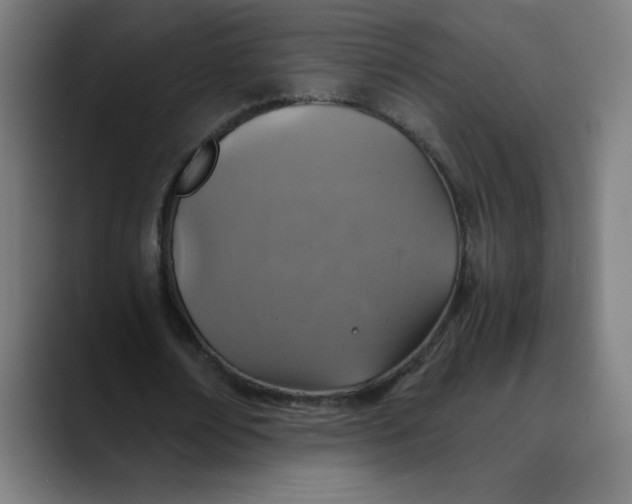 X0000089710674200707121413