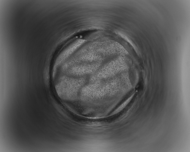 X0000089710677200707121413