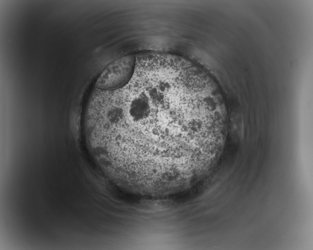 X0000089710679200707121413