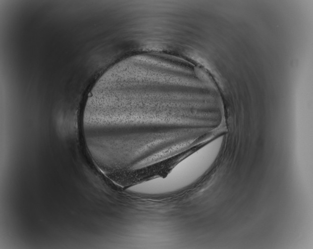 X0000089710681200707121413