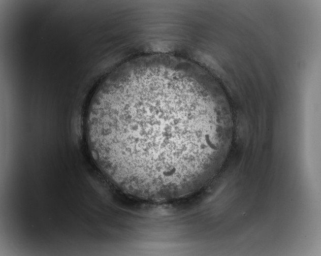 X0000089710683200707121413