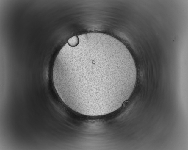 X0000089710686200707121413