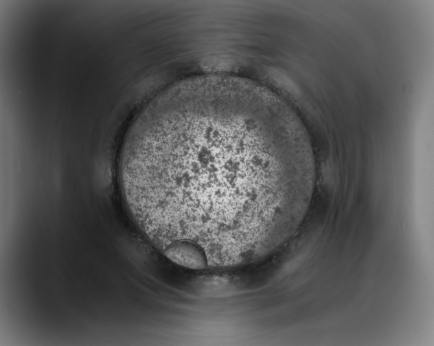 X0000089710687200707121413