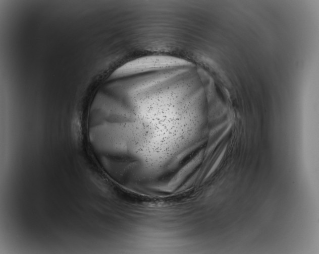 X0000089710688200707121413