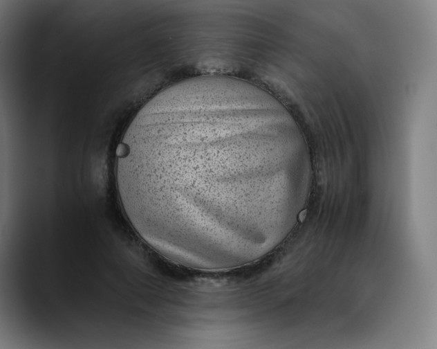 X0000089710690200707121413