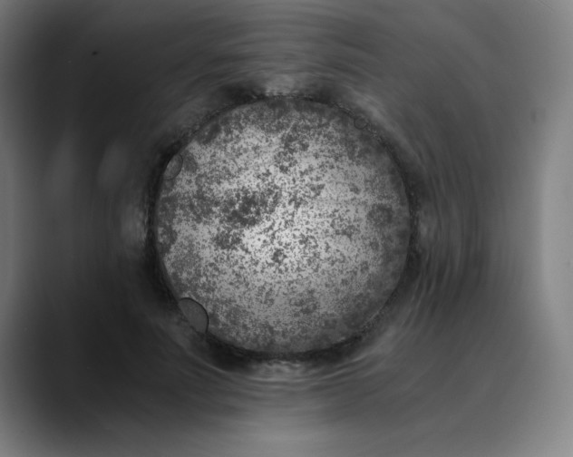 X0000089710691200707121413