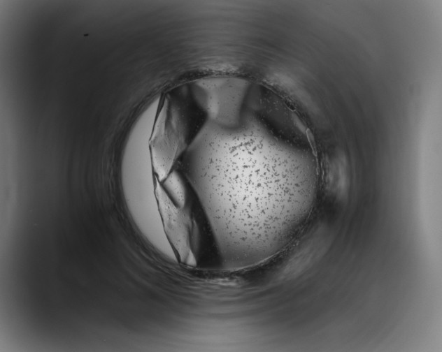 X0000089710692200707121413