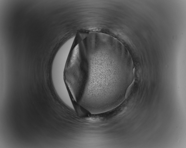 X0000089710693200707121413