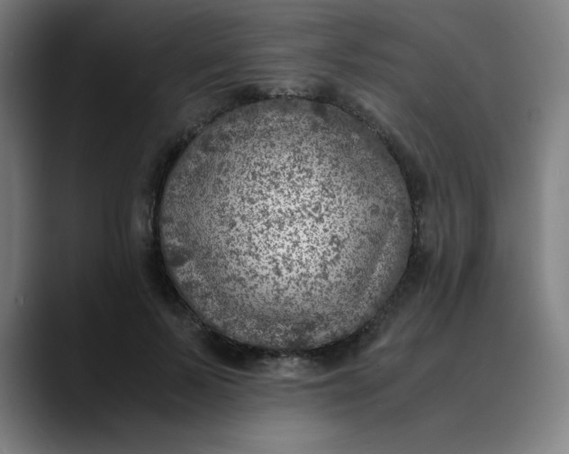 X0000089710695200707121413