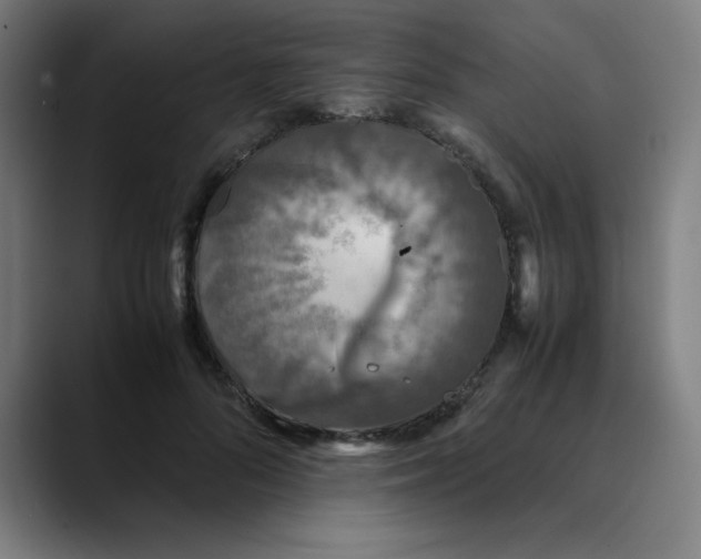 X0000089710696200707121413