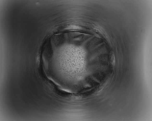 X0000089710697200707121413