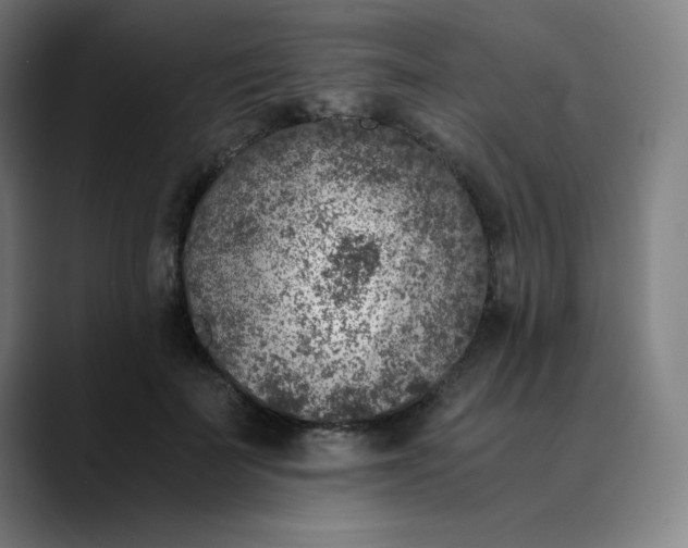 X0000089710699200707121413