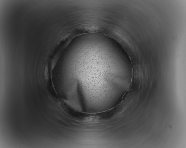 X0000089710700200707121413