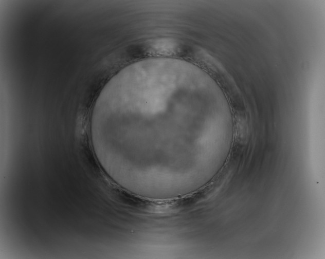 X0000089710701200707121413