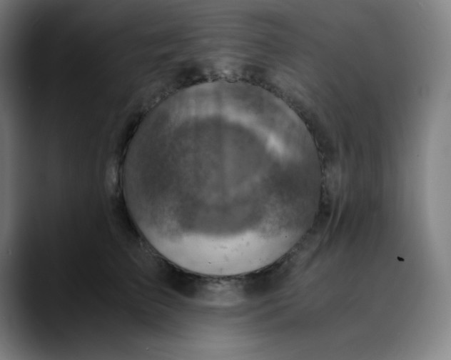 X0000089710709200707121413