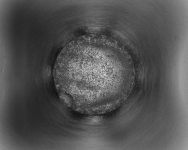 X0000089710711200707121413