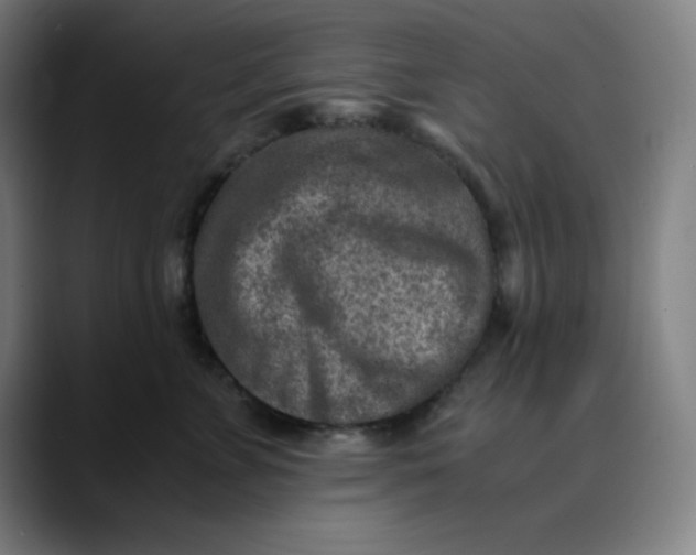 X0000089710715200707121413