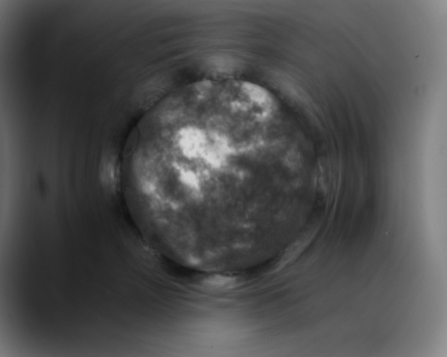 X0000089710718200707121413