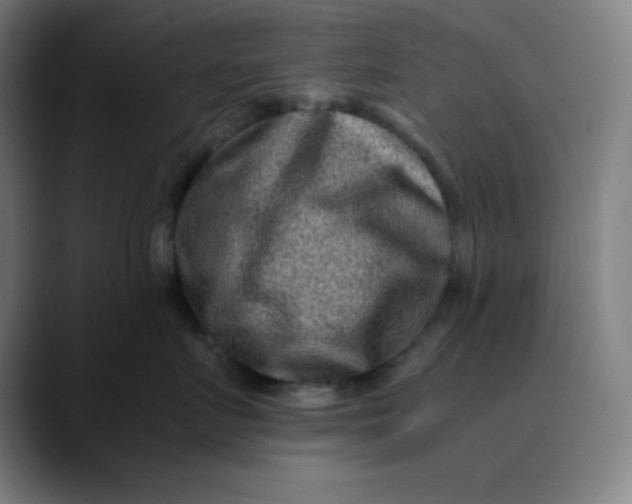 X0000089710719200707121413