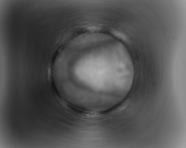 X0000089710720200707121413