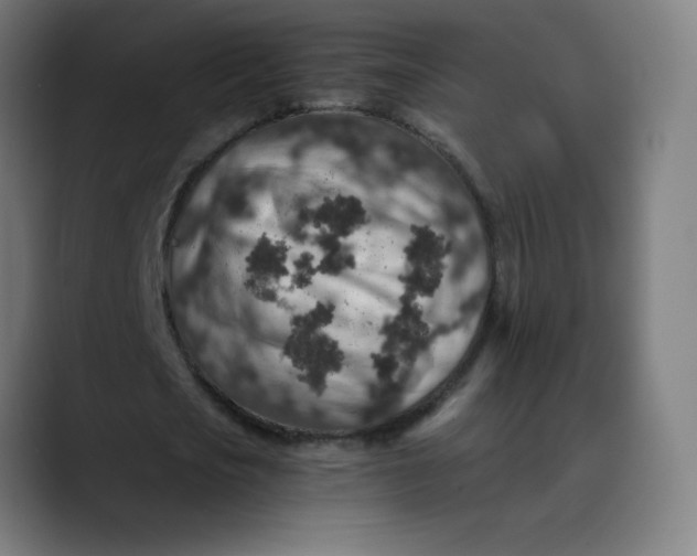 X0000089710721200707121412