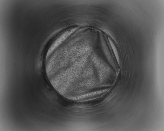 X0000089710723200707121412