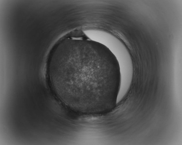 X0000089710724200707121412