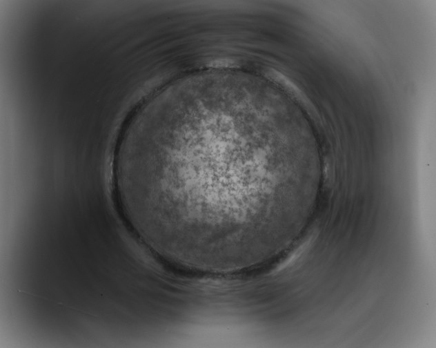 X0000089710725200707121412