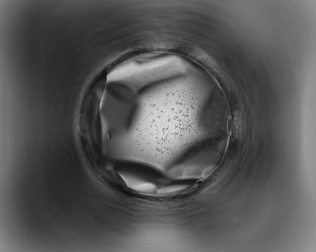 X0000089710726200707121412