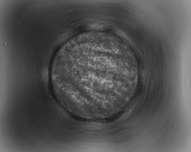 X0000089710729200707121412