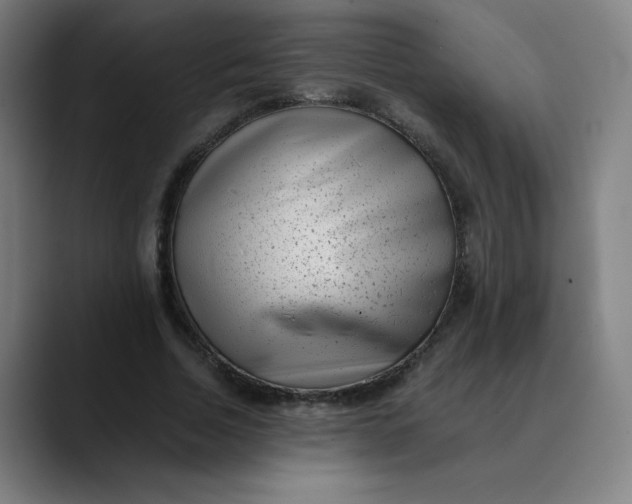 X0000089710730200707121412