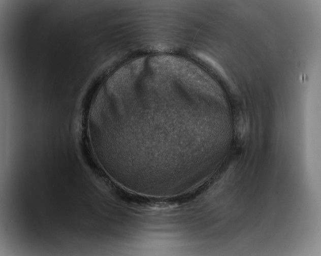 X0000089710736200707121412