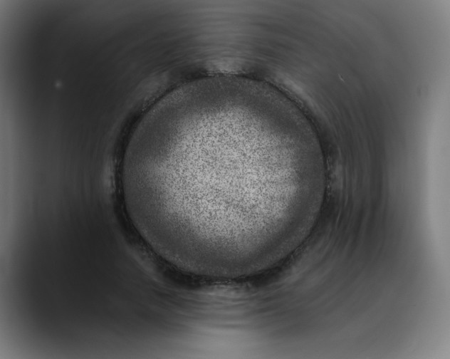 X0000089710738200707121412